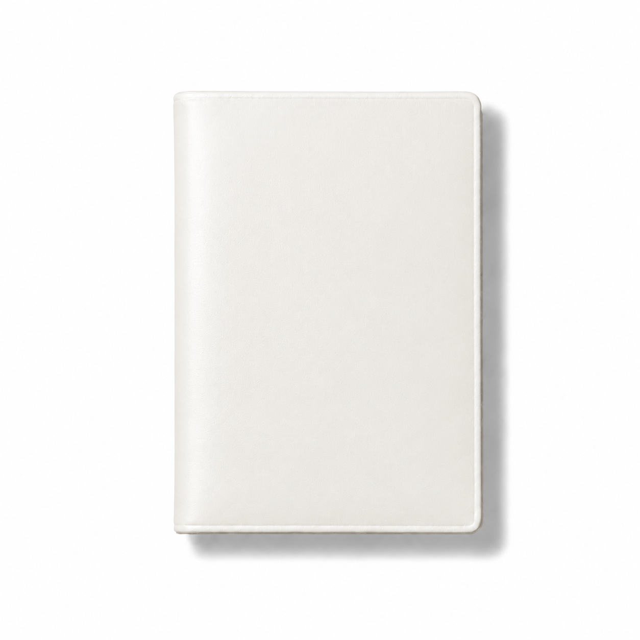 The First Class Passport Holder