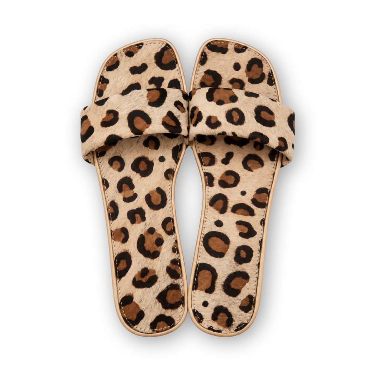 The Hide Slide